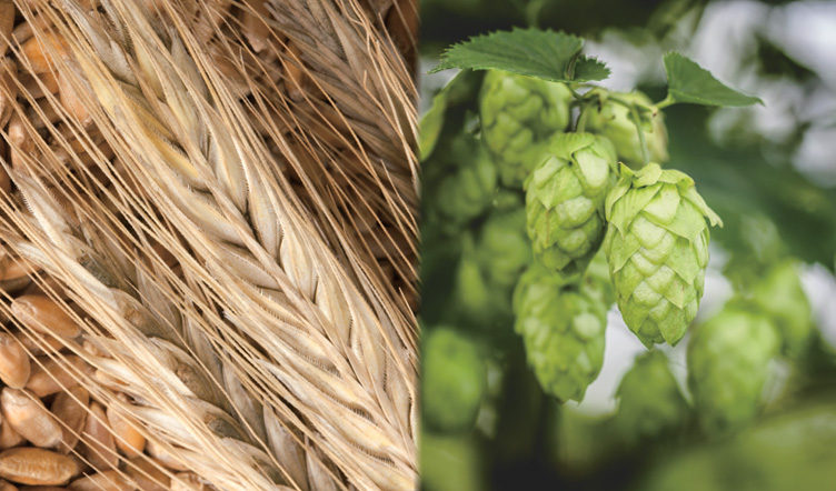 「あらたえ」という名前の由来